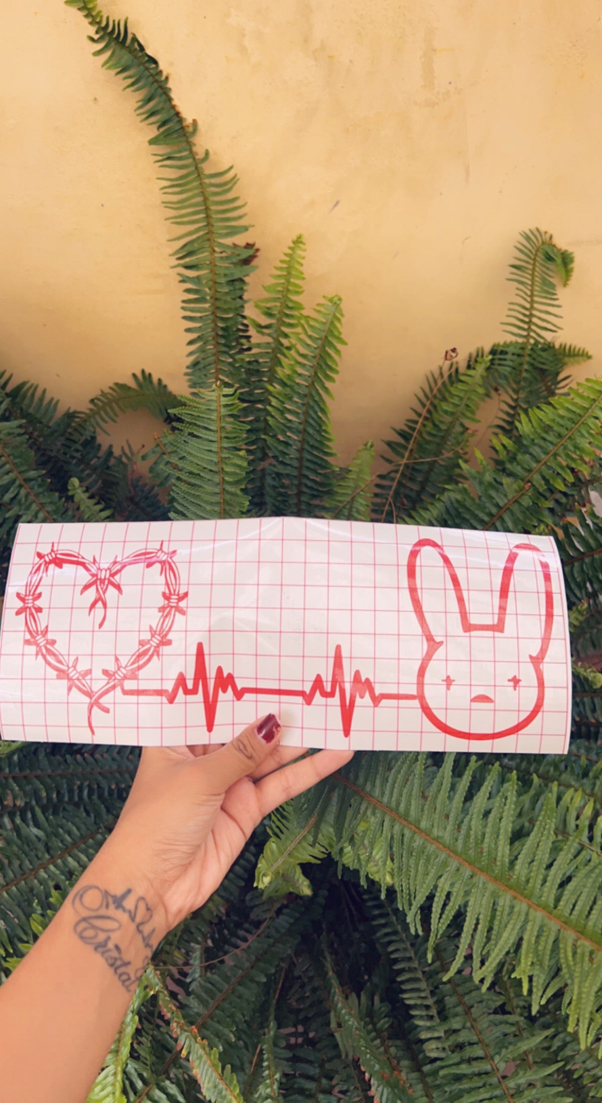 Bichota & Bad Bunny #2 ❤️🐰