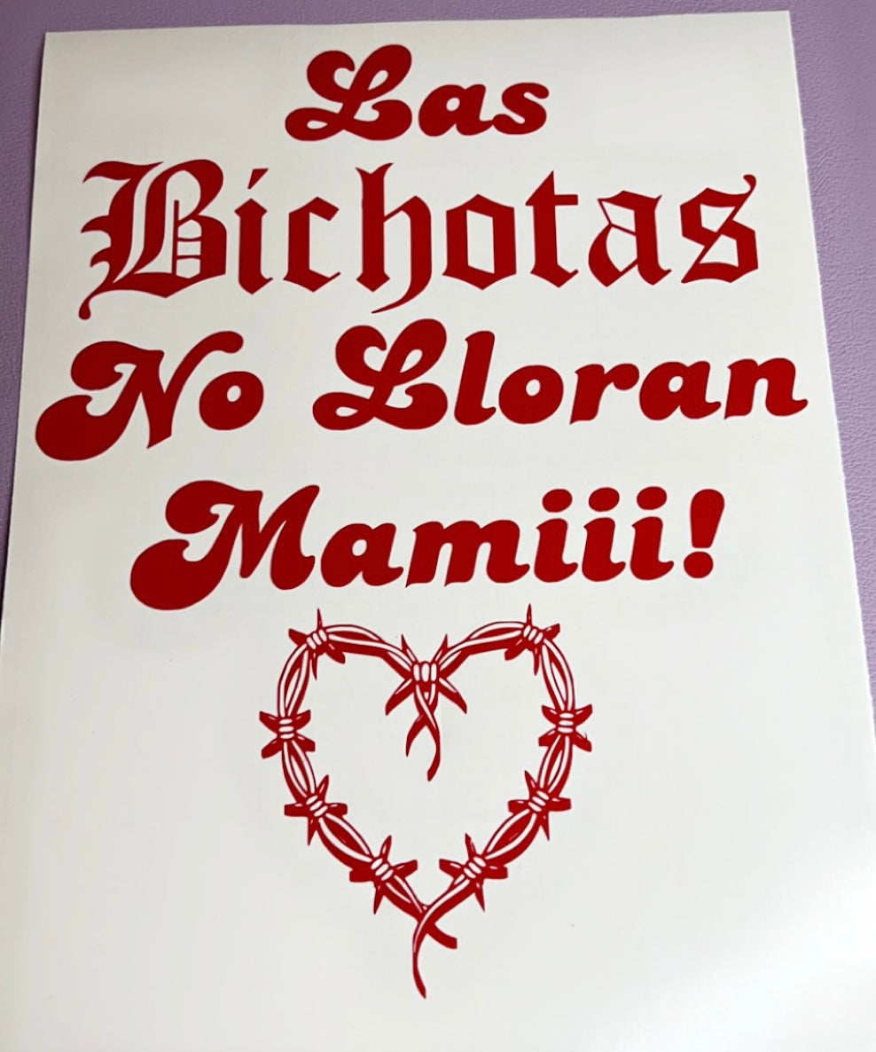 Bichotas no lloran mami💖