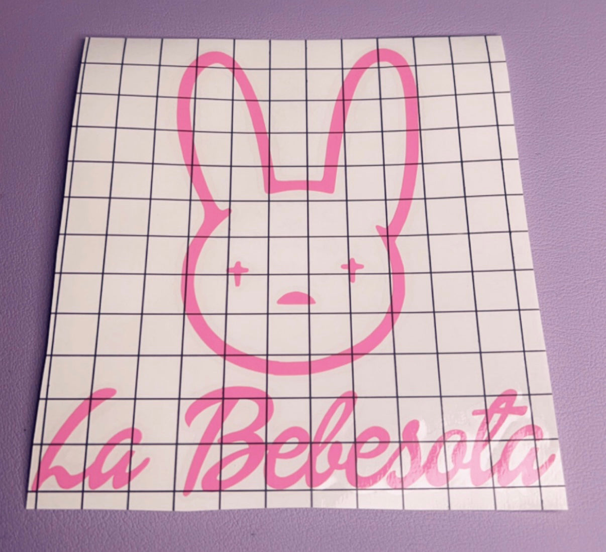 La conejita La Bebesota💜