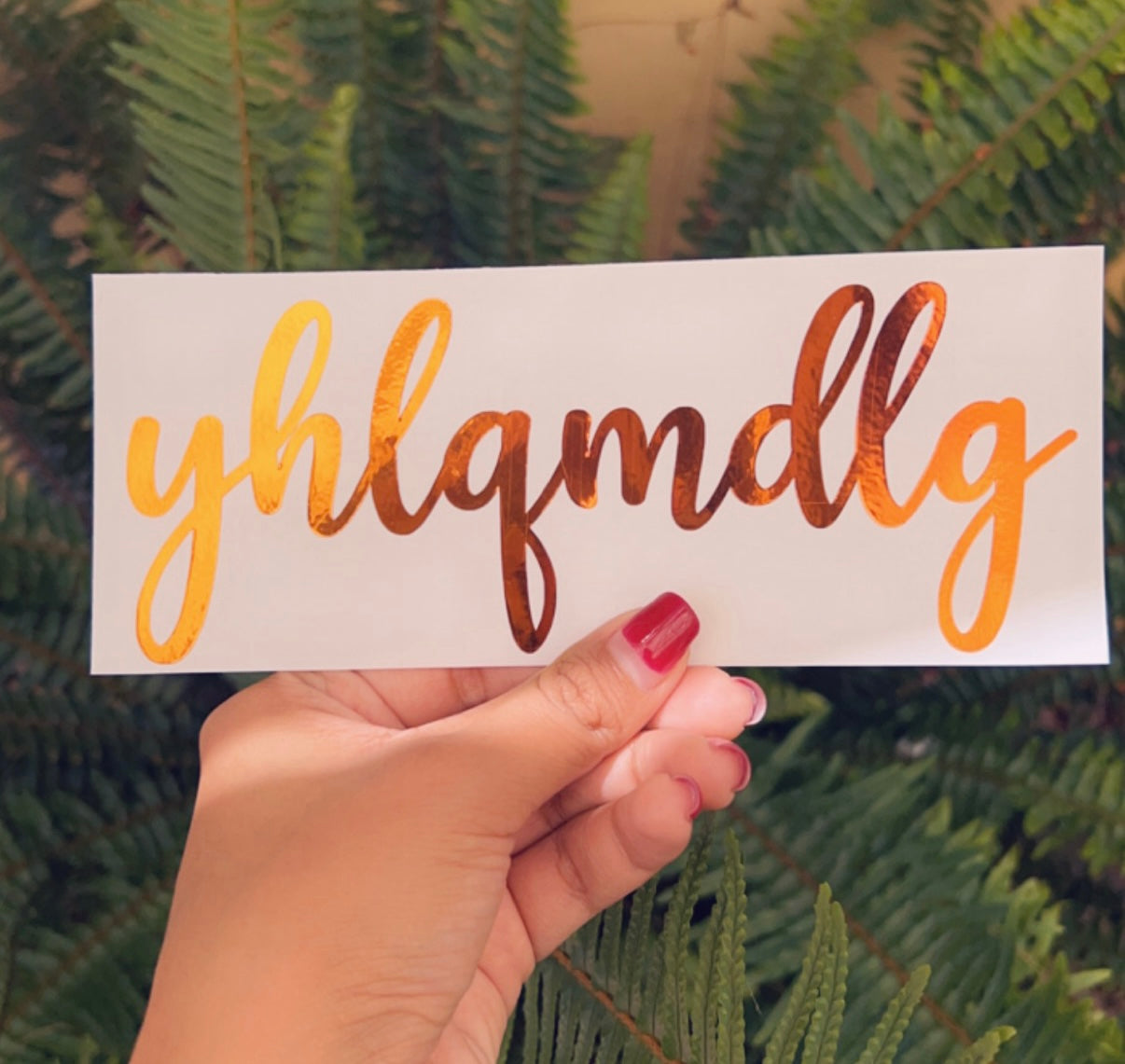 YHLQMDLG