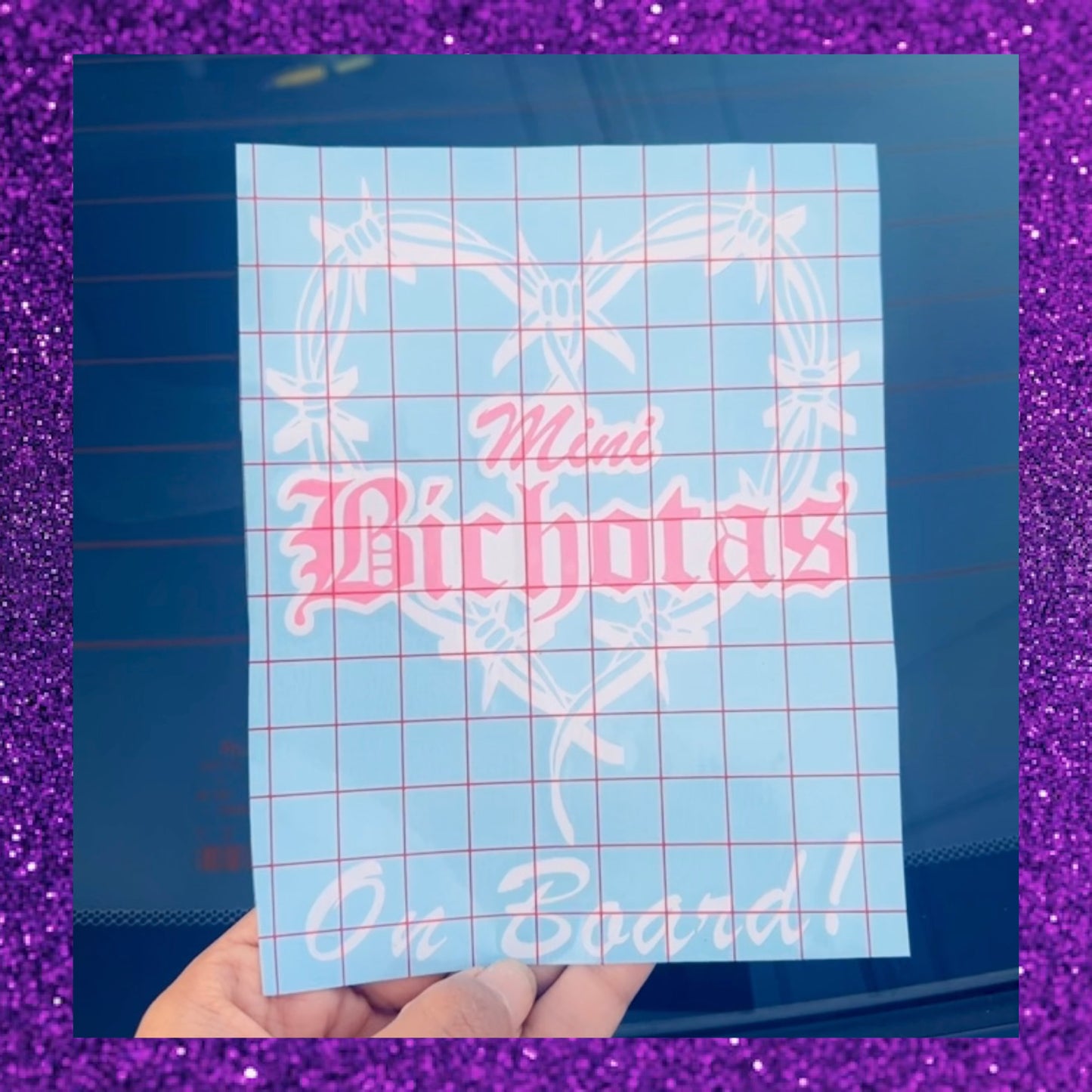 Mini Bichota/Bichotas on Board!