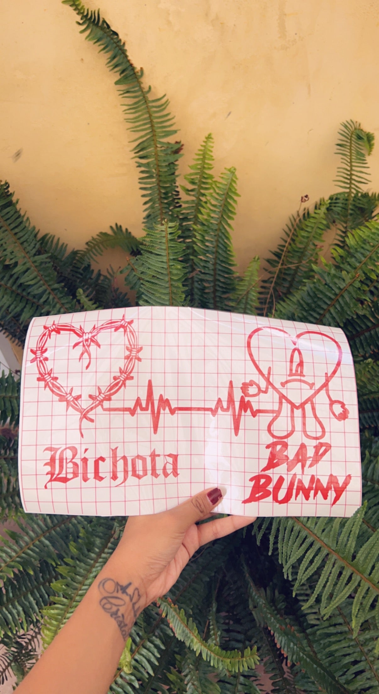 Bichota & Bad Bunny❤️❤️