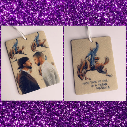 Nadie sabe 🤎🐎 car freshener