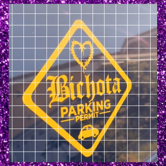 Bichota parking permit ⚠️🚗