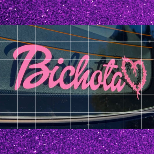 Barbie Bichota 🩷