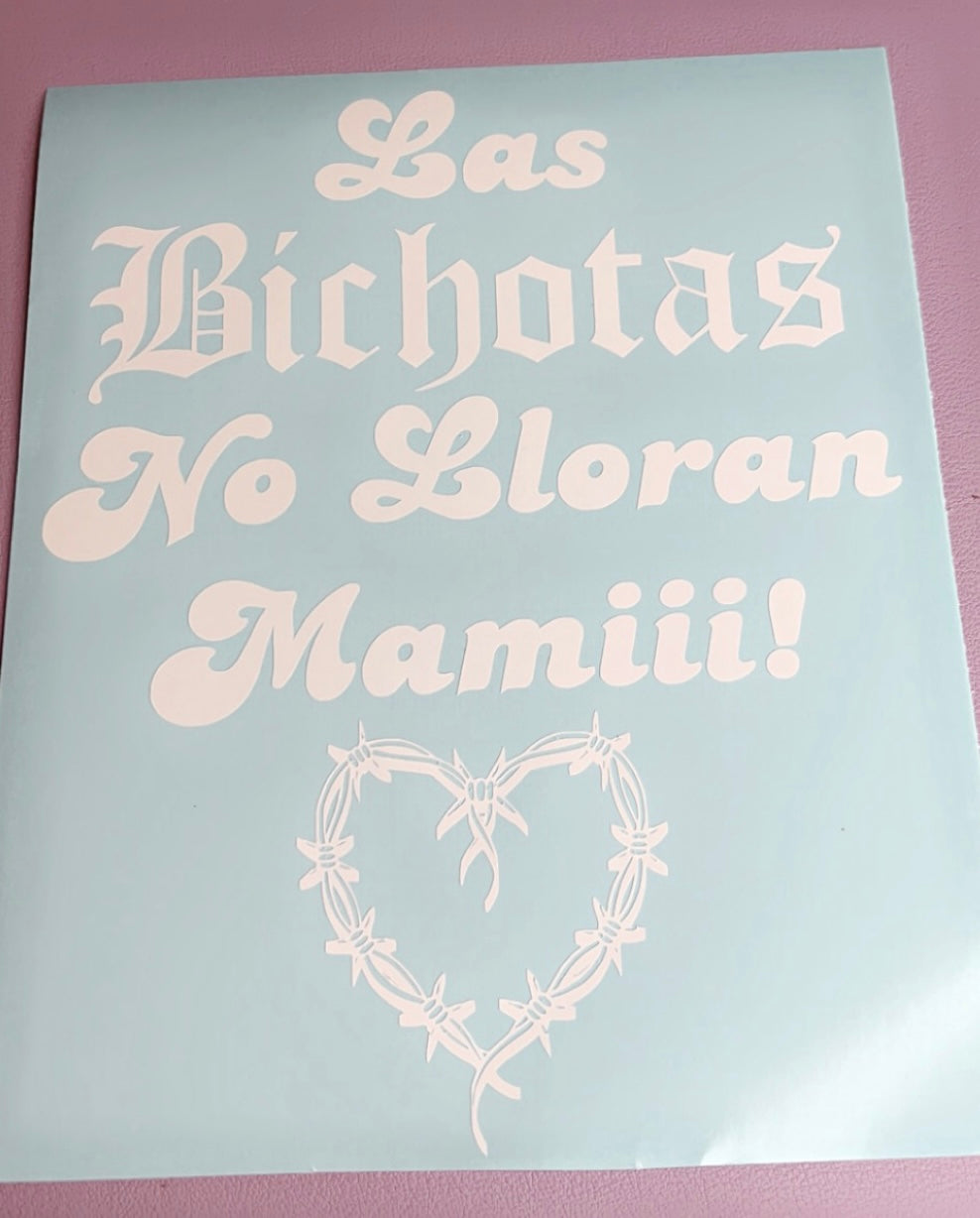 Bichotas no lloran mami💖