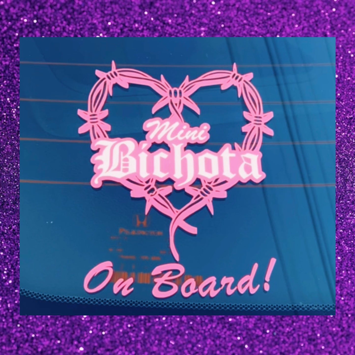Mini Bichota/Bichotas on Board!