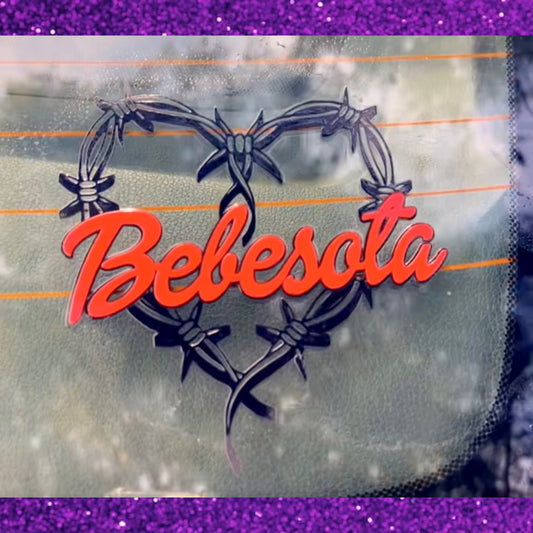 Bebesota Heart🖤